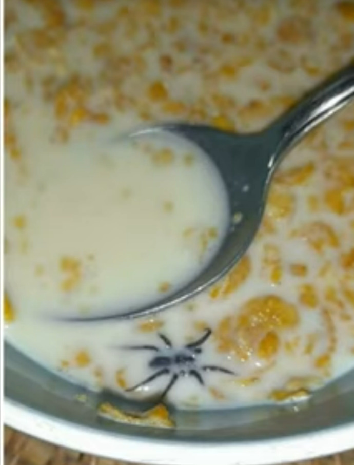 What do you do if you find a SPIDER in your CEREAL?