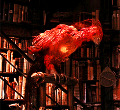 Who are your favorite mythological characters/creatures?