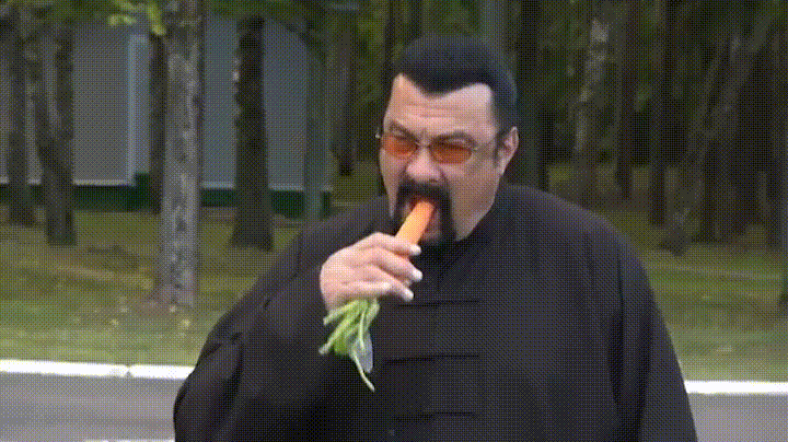 Is Steven Segal a great American Hero, or is he the GREATEST American Hero?