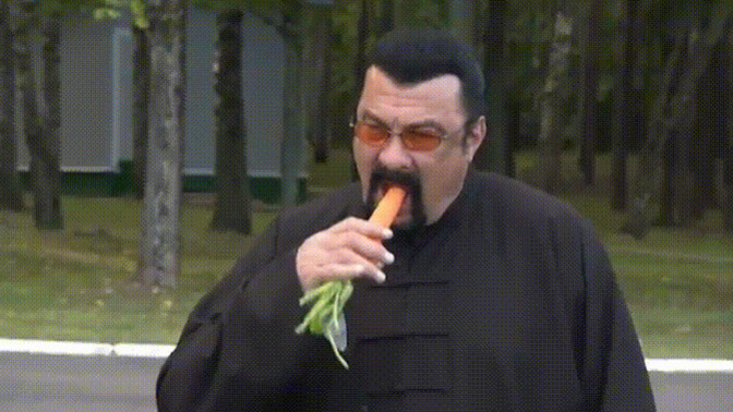 Is Steven Segal a great American Hero, or is he the GREATEST American Hero?