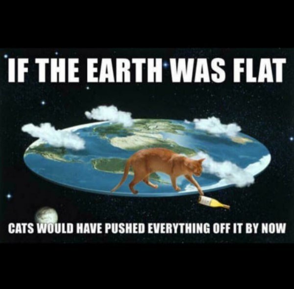 What do flat earthers believe as it sounds incredulous that anyone can believe the world is flat?
