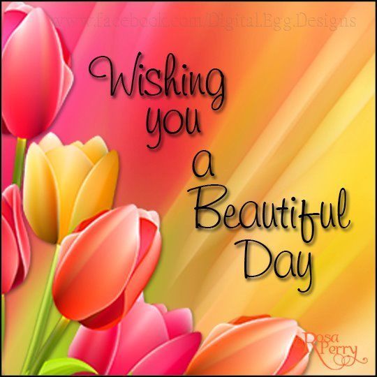 Would you send a good morning message?