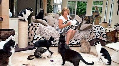 Why Is Being Called A Cat Lady Termed As Insulting To Women?