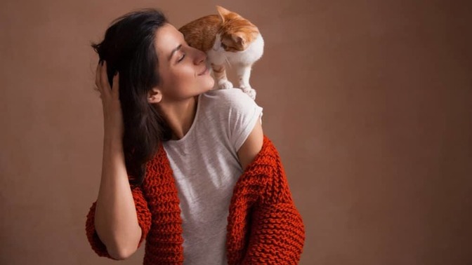 Why Is Being Called A Cat Lady Termed As Insulting To Women?