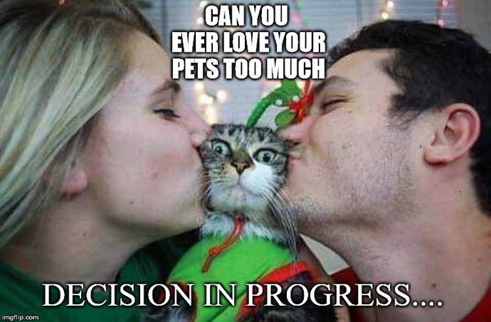 How many pets are too many for you not to want to date someone?