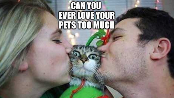 How many pets are too many for you not to want to date someone?