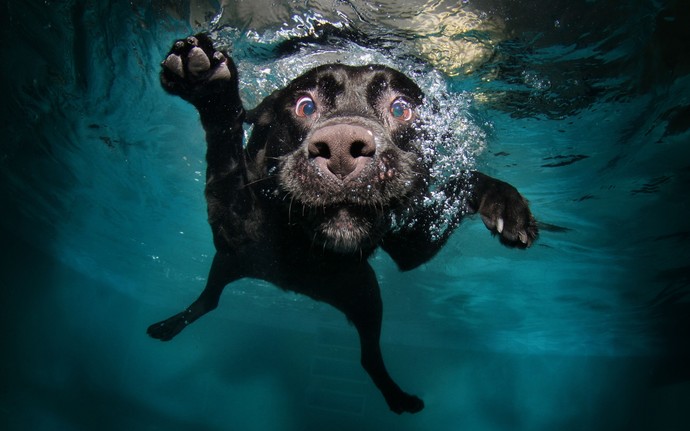 Does anyone have any cute pictures to brighten up my day?