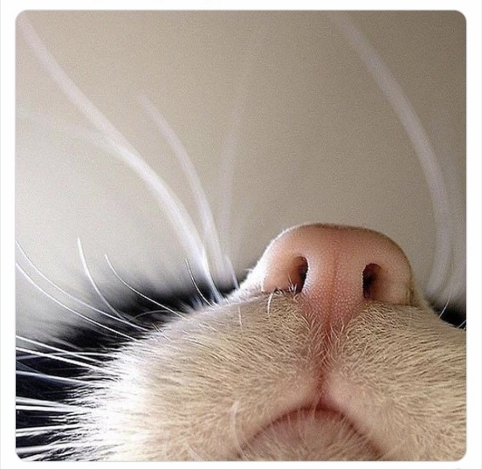 Does anyone have any cute pictures to brighten up my day?