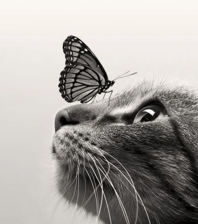 Does anyone have any cute pictures to brighten up my day?