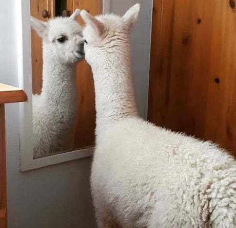 you're cute... look at your mirror