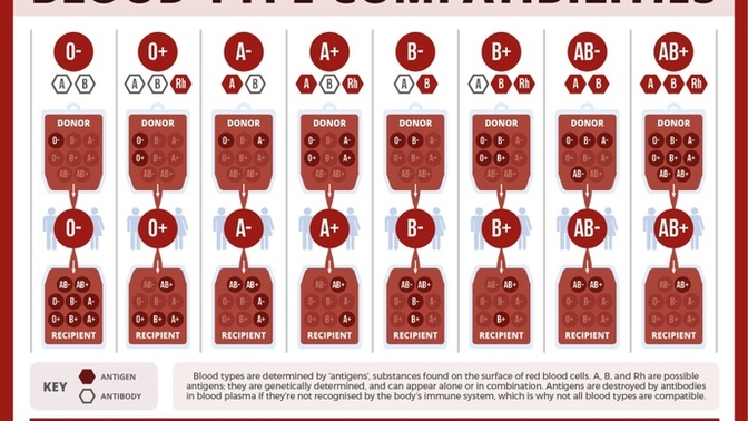 What is your blood type?