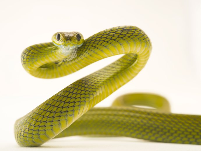What is a phobia you have and what are the reasons for your fear?
