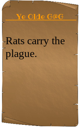 What is a phobia you have and what are the reasons for your fear?