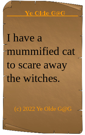 Do you have a pet, if so what kind?