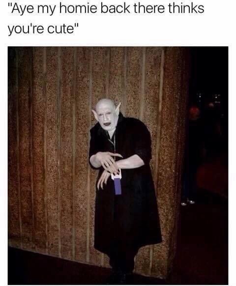 Id say, tell your homie he can tell me that himself! 🫦come to mama, bad boy meoww 😂