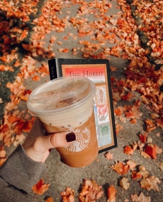 Autumn 🍂 is about to be amongst us. Whats your favorite season?