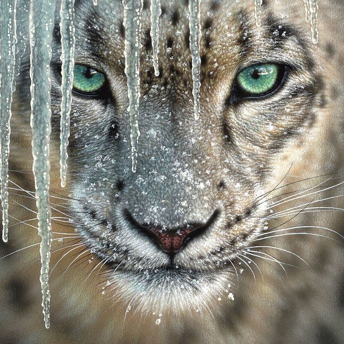 What is your favorite animal?