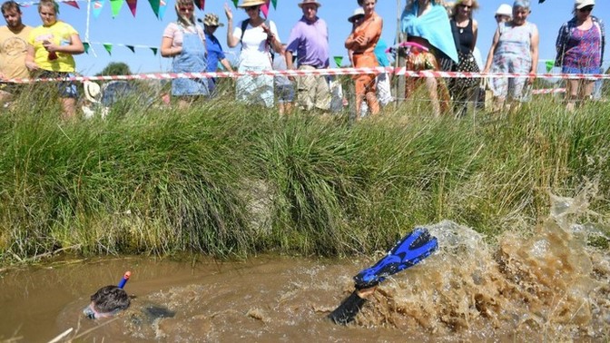 Why isn't bog snorkeling an Olympic event?