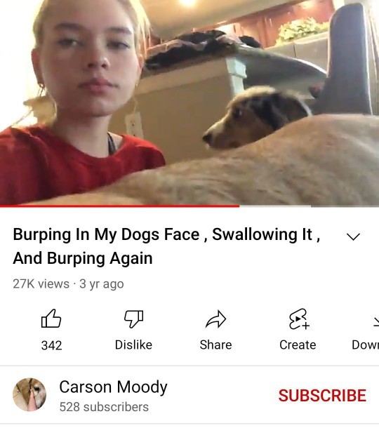 Do you think that this is animal abuse?