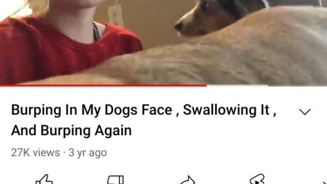 Do you think that this is animal abuse?