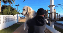 Guys, If you had a great partner, would you get rid of your pet if?