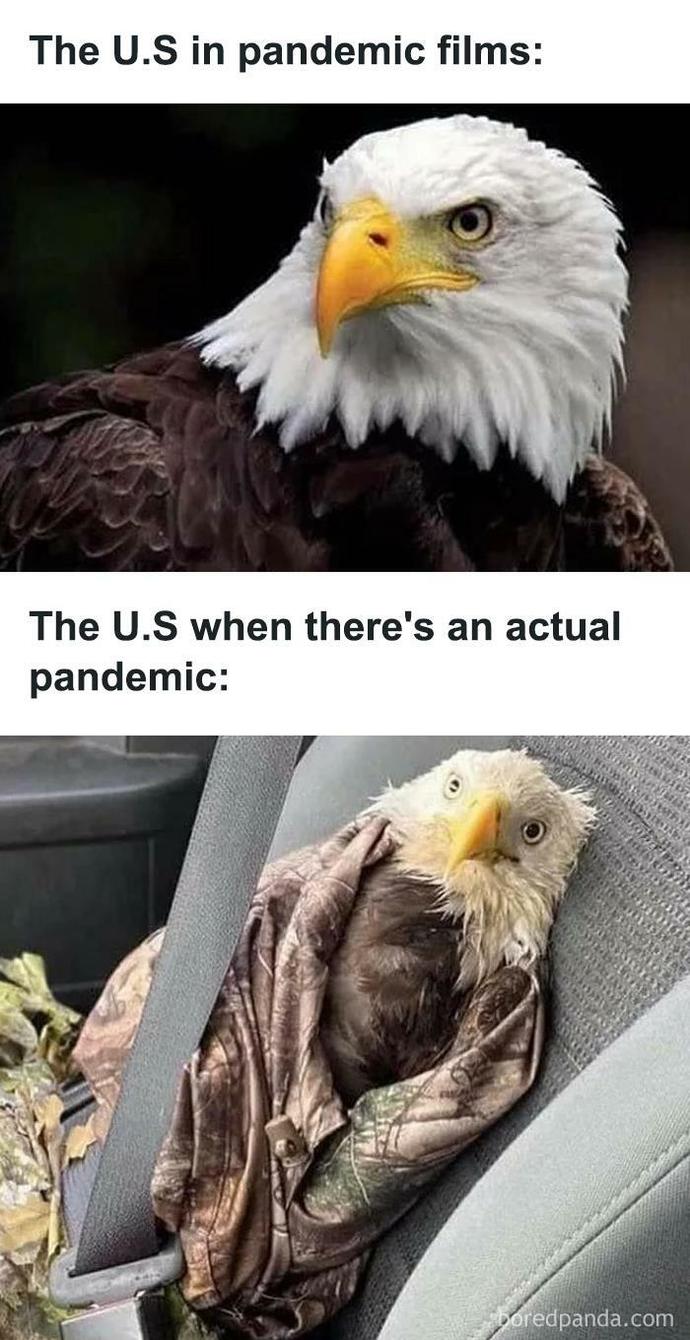 What country are you from?