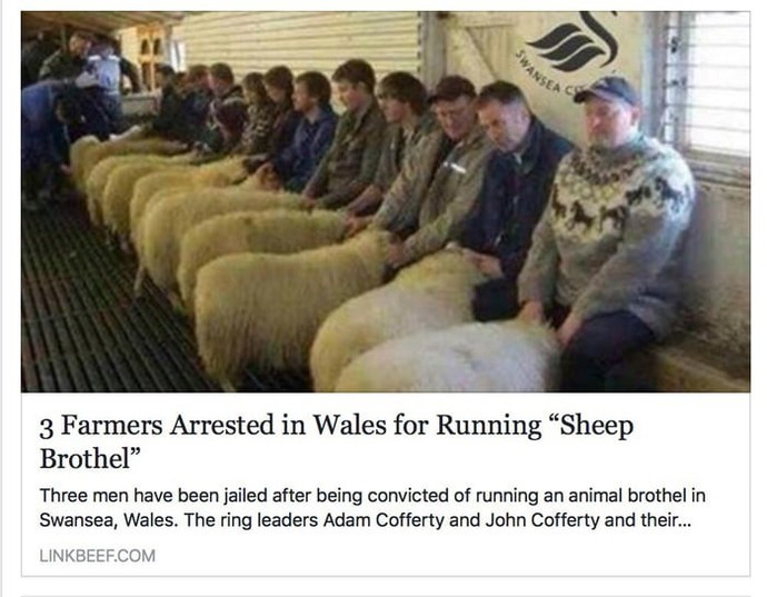 What country are you from?