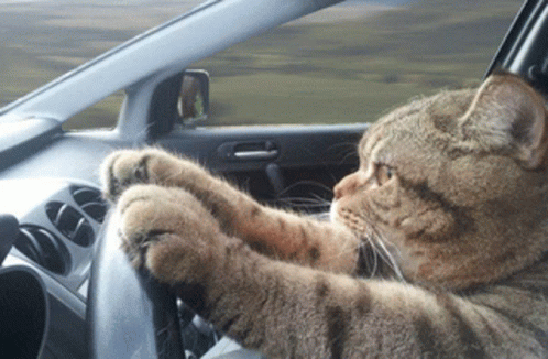 What's your style at driving seat?