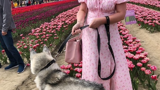 Which of these dresses looks the best on me?