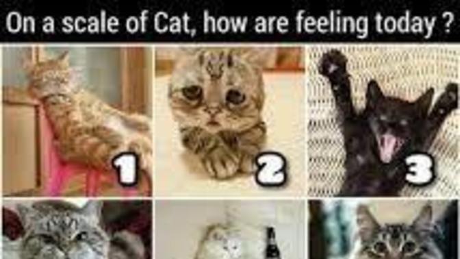 How are you today?