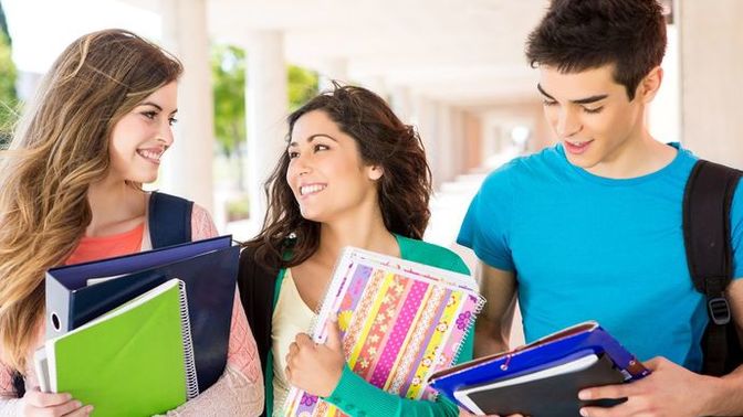 What did you learn from school?