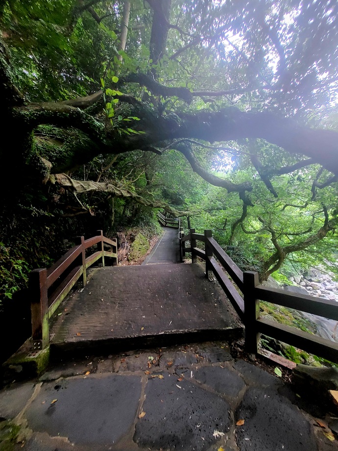 What was your favorite place you visited this summer and what did you do?