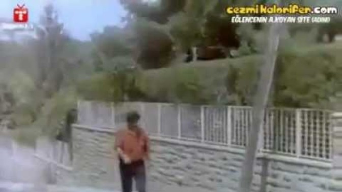 How is the accident scene?