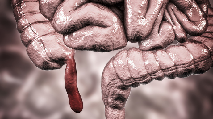 How do you personally believe the first humans man and woman came into existence?