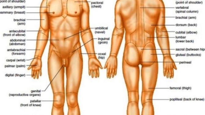 How do you personally believe the first humans man and woman came into existence?