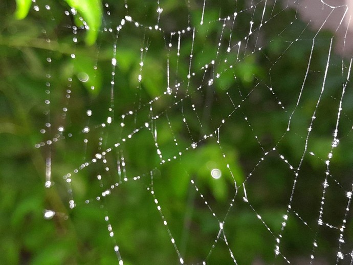 Does anyone here like going out in the rain?