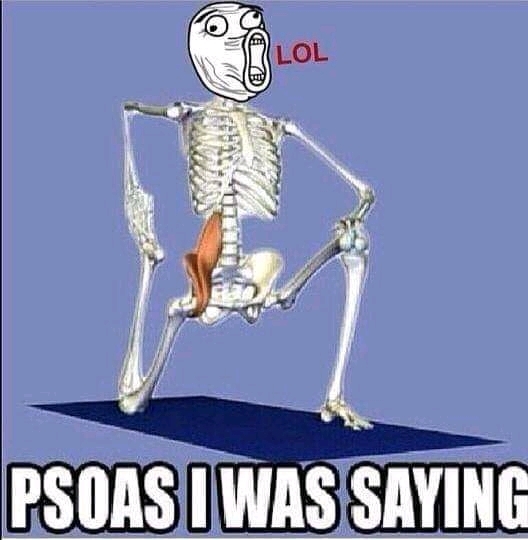 Drop your fav memes in the comments🔆?