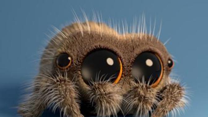 Am I the only one who thinks lucas the spider is creepy as hell?