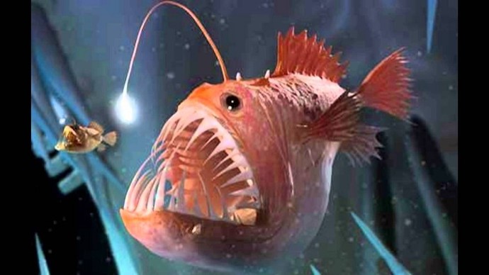 What kind of unknown creatures do you think lurks in the deep depths of the oceans?