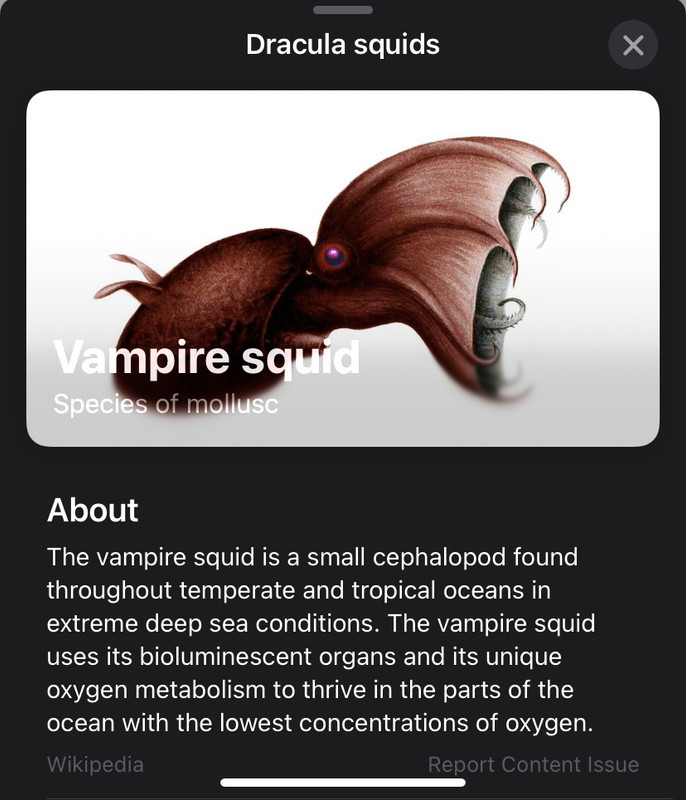 What kind of unknown creatures do you think lurks in the deep depths of the oceans?