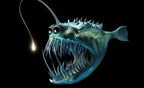 What kind of unknown creatures do you think lurks in the deep depths of the oceans?
