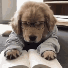 How long does it take you to read a book?