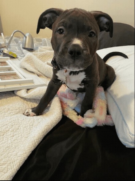 What do you think of my killer? Does she look vicious?