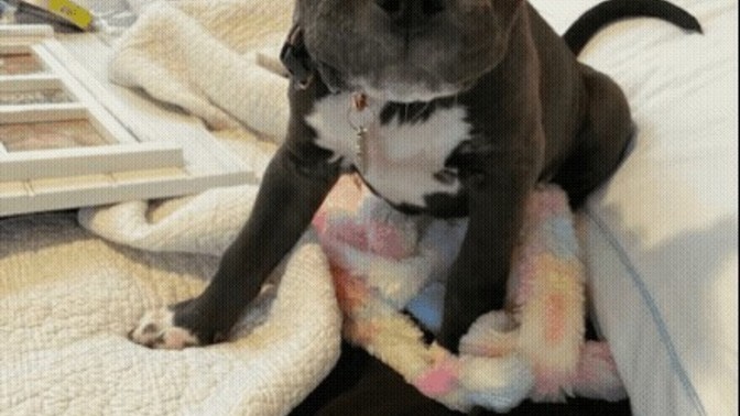 What do you think of my killer? Does she look vicious?