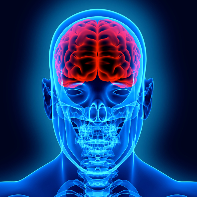Are you and your brain 2 separate beings? Any ideas how to conquer the brain?