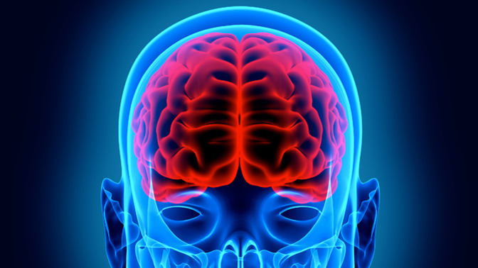 Are you and your brain 2 separate beings? Any ideas how to conquer the brain?