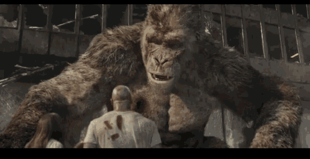 Which zoo cage would you take a chance in with nothing but a rope and knife?
