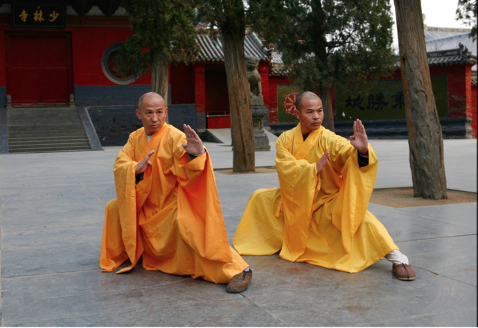 If you were to choose 2 martial arts to practice which would be your top choices?