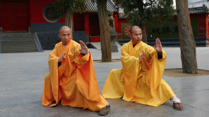 If you were to choose 2 martial arts to practice which would be your top choices?
