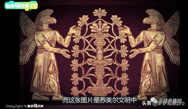Discover it in China, Is it the same with Sumeru?